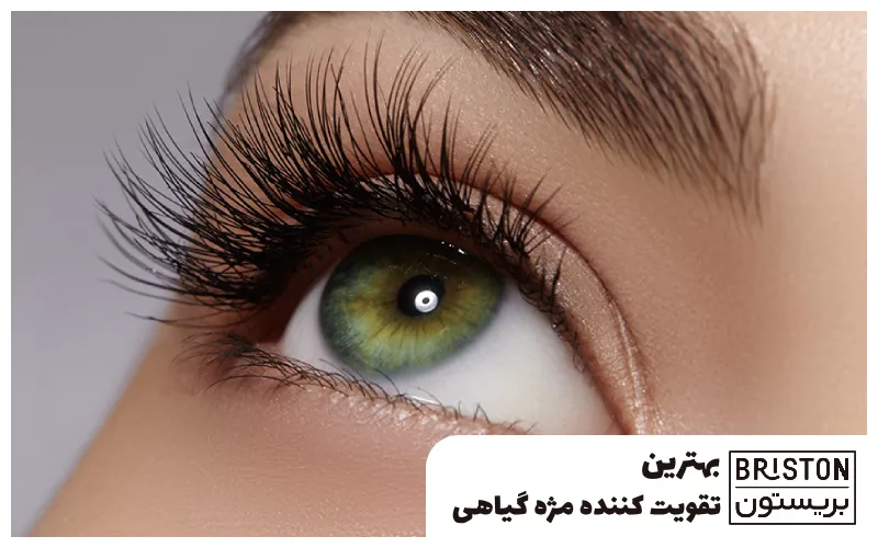 بهترین تقویت کننده مژه گیاهی
